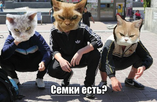 Screenshot_20210420-104830_Chrome.webp