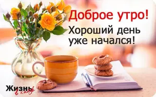 jn8tlOkLoH.webp