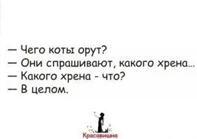 20210420_212513.webp