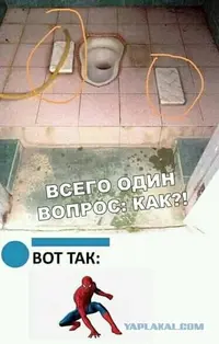 15472520.webp