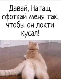 20210421_121736.webp