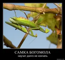 434427_640.webp
