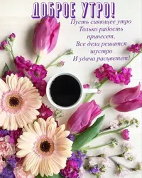a8b9adb5c046c5f670961770a95cebe1.webp