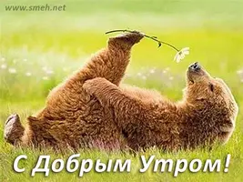 dobroe-utro3.webp