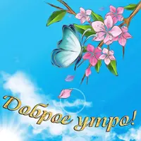 c9b1138299754996b7642d91f54a18b3.webp