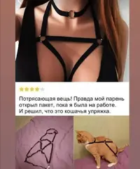 Screenshot_20210420_221355.webp