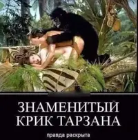 15211370.webp