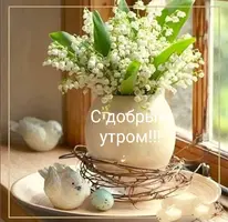IMG_20210423_070136.webp