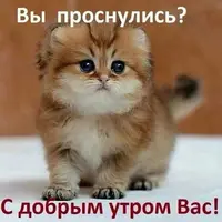 352e9c95561e8b1efc3b2bc6bdd21ffb.webp