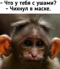 8c2ca0a5588ec80f95ce008952997f76.webp