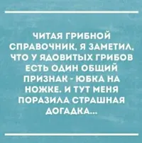 20210422_203012.webp