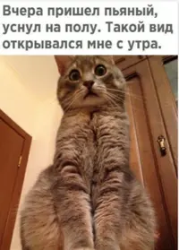 20210422_203125.webp