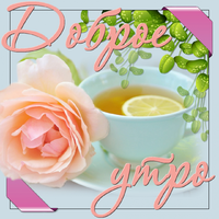 1539339930_otkrytka_pleykast__ampquotdobroe_utro.webp