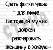 15003419.webp