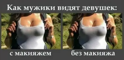 IMG-2a3df85f415ec6204223cb53f203acb8-V.webp