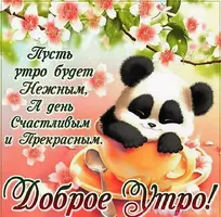 s1200.webp