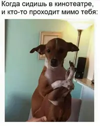 1618941794196385245.webp