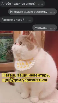 1619194792151737243.webp