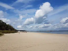 IMG-fb14298dd43bfa86c94c884fdf0a9e68-V.webp
