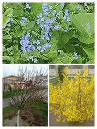 IMG_20210424_144718.webp