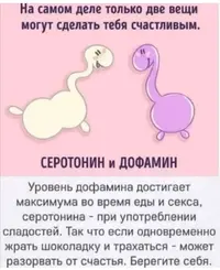 Screenshot_2021-04-24-14-54-48-43.webp