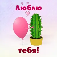 270d8.webp