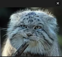 Screenshot_2021-04-24-21-52-59-83.webp