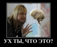 1532947913_4.webp