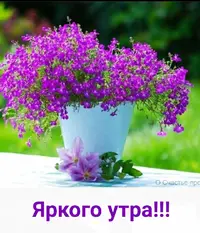 IMG_20210424_072729.webp