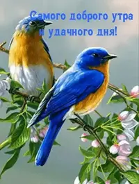 IMG-20210418-WA0003.webp