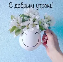 i.webp