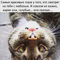 Screenshot_20210425_125408.webp