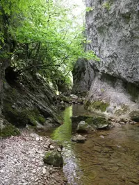 20210425_160102.webp