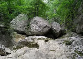 20210425_160050.webp