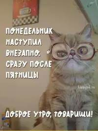 da7d4c2e9a33445cba9e7605df2a947a.webp