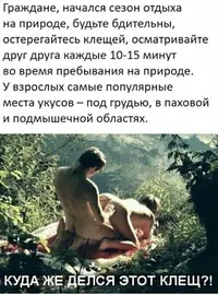 15485209.webp