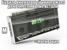 15489541.webp