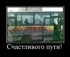 15489543.webp