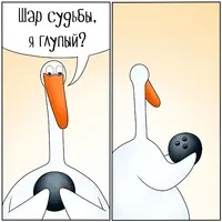 wgfoUiXJqB0.webp