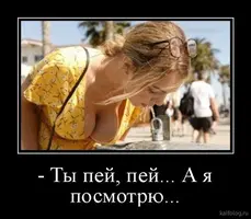 47c49e9af6dabbc37725899930dc6853.webp