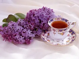 3ab5704a1e4fb74113d0a83a04d48f7a--vintage-teacups-afternoon-tea.webp