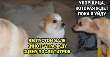 Screenshot_20210422_233553.webp