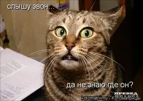 J9.webp