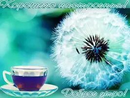 IMG-20210426-WA0006.webp