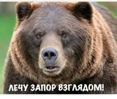 20210428_091008.webp