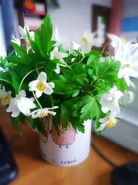 Lumii_20210428_104940539.webp