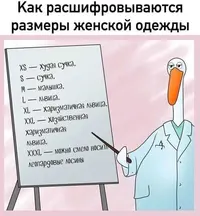IMG-b85ddcdcba793eb6252c6306fb5a6033-V.webp