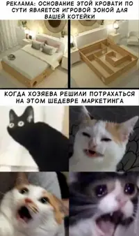 15491528.webp