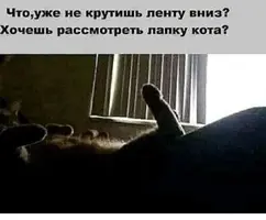 20210428_220552.webp