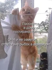 tciuGdVhxHY.webp